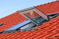 Prowse roof window